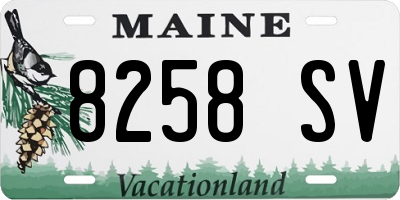 ME license plate 8258SV