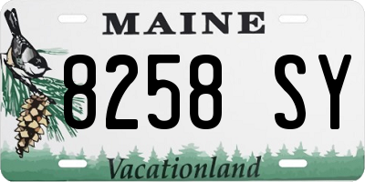 ME license plate 8258SY