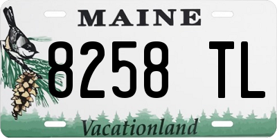 ME license plate 8258TL