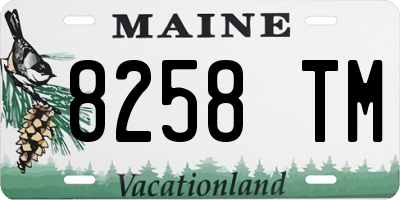 ME license plate 8258TM