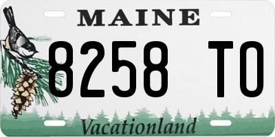 ME license plate 8258TO