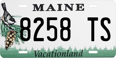 ME license plate 8258TS