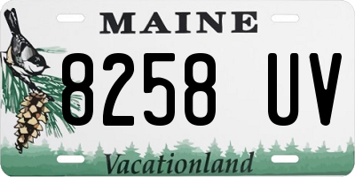 ME license plate 8258UV