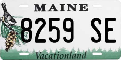 ME license plate 8259SE