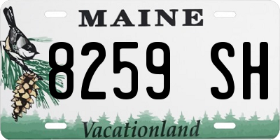 ME license plate 8259SH