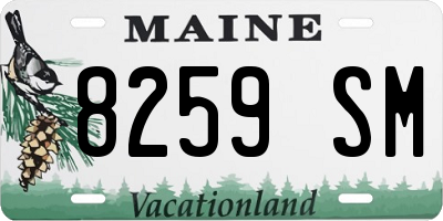 ME license plate 8259SM