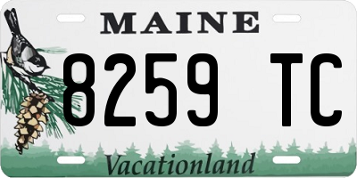 ME license plate 8259TC