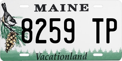 ME license plate 8259TP