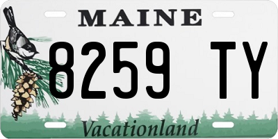 ME license plate 8259TY