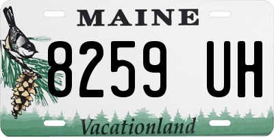 ME license plate 8259UH