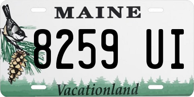 ME license plate 8259UI