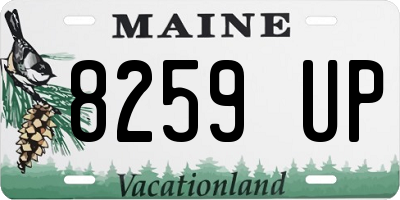ME license plate 8259UP