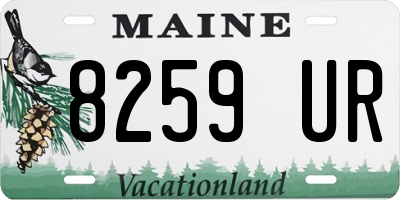 ME license plate 8259UR