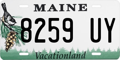 ME license plate 8259UY