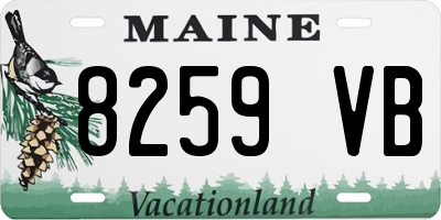 ME license plate 8259VB