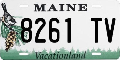 ME license plate 8261TV