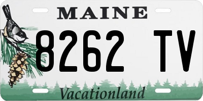 ME license plate 8262TV