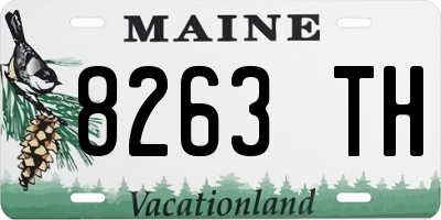ME license plate 8263TH
