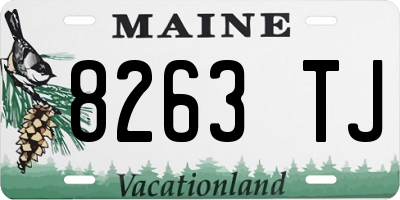 ME license plate 8263TJ