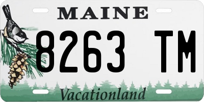ME license plate 8263TM