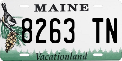 ME license plate 8263TN