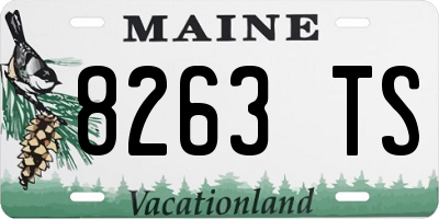ME license plate 8263TS