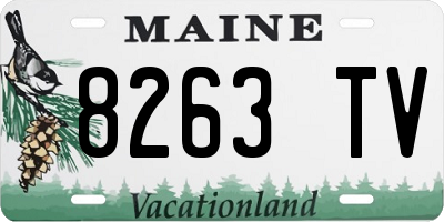 ME license plate 8263TV