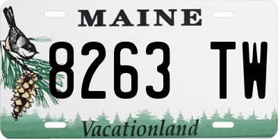 ME license plate 8263TW