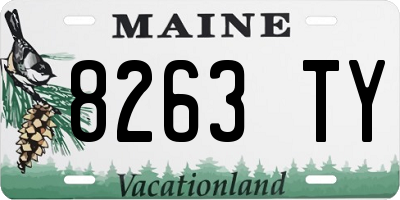 ME license plate 8263TY