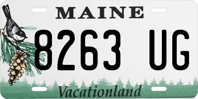 ME license plate 8263UG