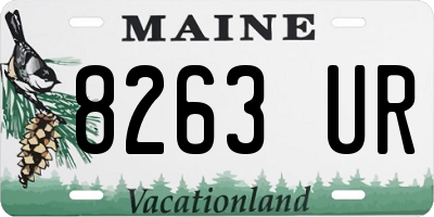 ME license plate 8263UR