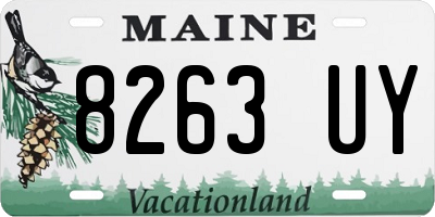 ME license plate 8263UY