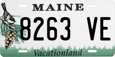 ME license plate 8263VE