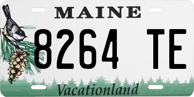 ME license plate 8264TE
