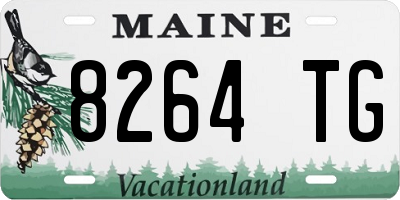 ME license plate 8264TG