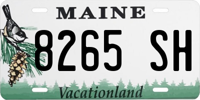 ME license plate 8265SH