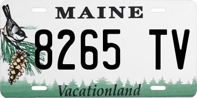 ME license plate 8265TV