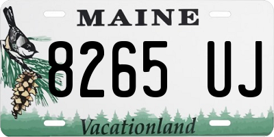 ME license plate 8265UJ