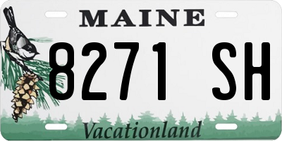 ME license plate 8271SH