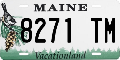 ME license plate 8271TM