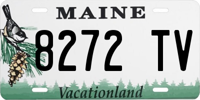 ME license plate 8272TV