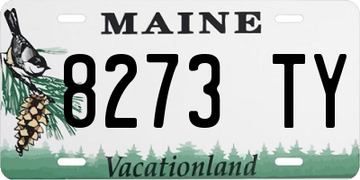 ME license plate 8273TY