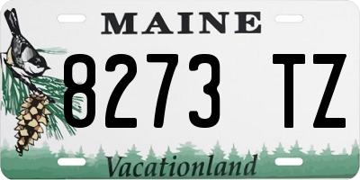 ME license plate 8273TZ