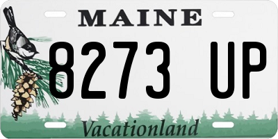 ME license plate 8273UP