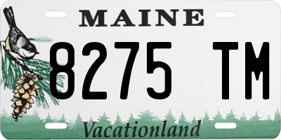 ME license plate 8275TM