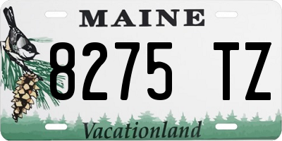 ME license plate 8275TZ