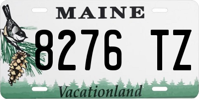 ME license plate 8276TZ