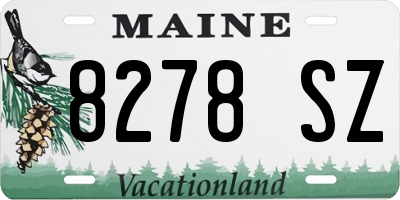 ME license plate 8278SZ