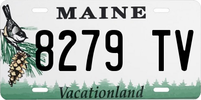ME license plate 8279TV