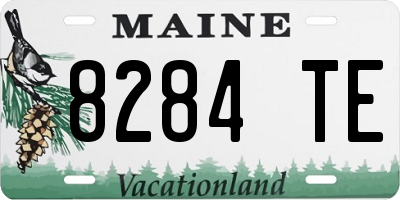 ME license plate 8284TE
